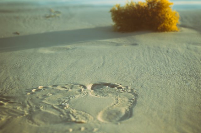 The Nifty Fifty makes it easier to focus on whatever is most important in your photo, while still capturing enough around the subject to lend it scope.