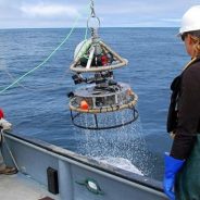 Monterey Bay Aquarium uses GoPro to create new open source research camera