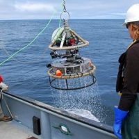 Monterey Bay Aquarium uses GoPro to create new open source research camera