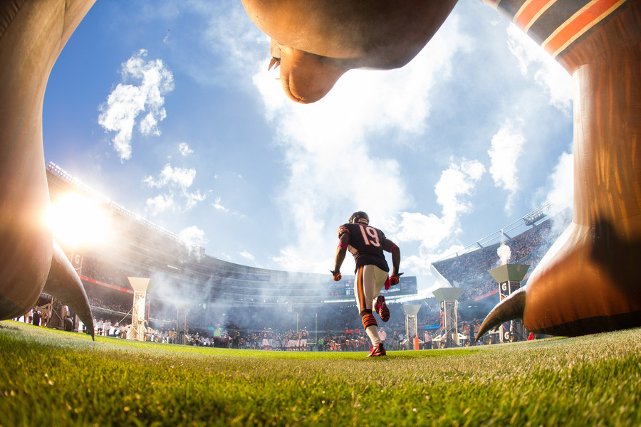 Photograph Bear Introduction by Jeff Lewis on 500px