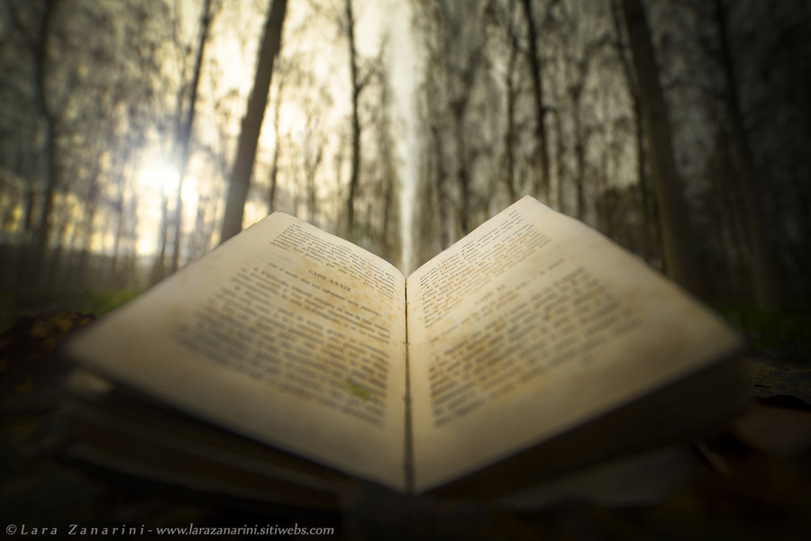 Photograph The natural power of reading by Lara Zanarini on 500px