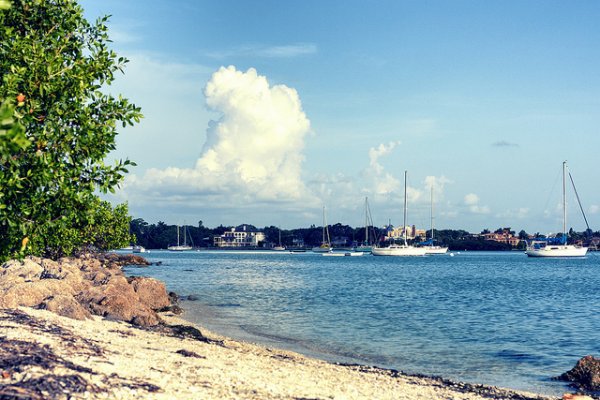 The 50mm allows you to think differently about the landscape or subject you're framing, and to make more creative choices.