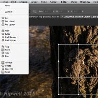 4 Ways to Use the Warp Command in Photoshop