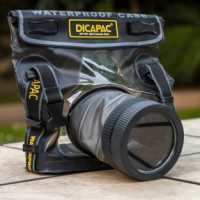 Dicapac WP-S10 Underwater Housing Review