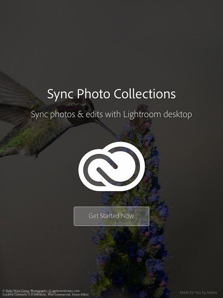 Peter-West-Carey-adobe2014-1217-0229