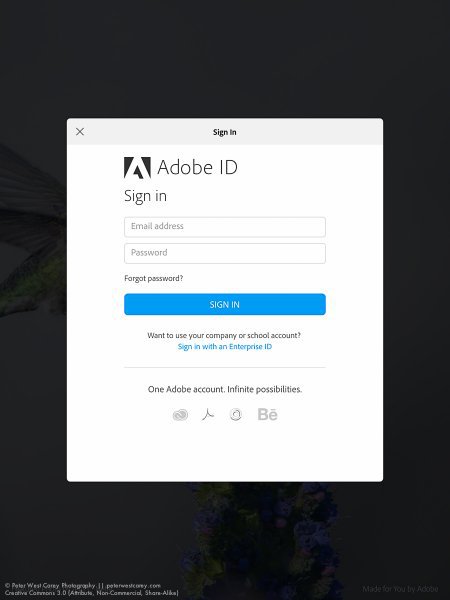 Peter-West-Carey-adobe2014-1217-0230