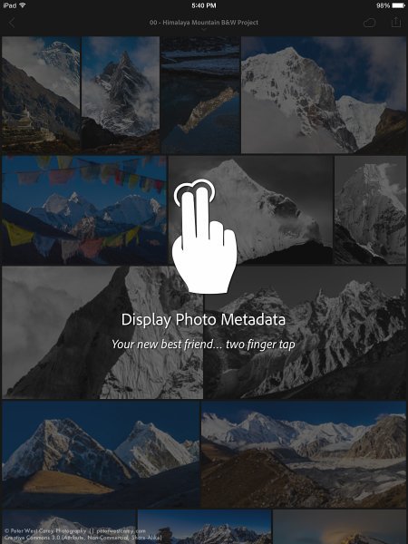 Peter-West-Carey-adobe2014-1217-0233