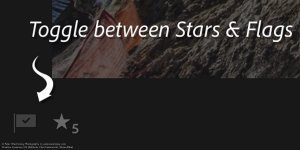 Peter-West-Carey-adobe2014-1217-0238-2