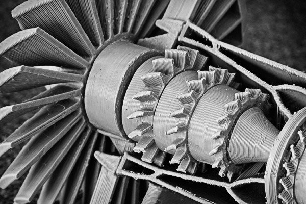 Photo-5-macro-photography-ideas-software.jpg Photo 5 macro photography ideas software