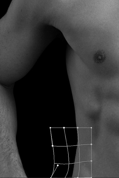 Warp-grid-love-handles