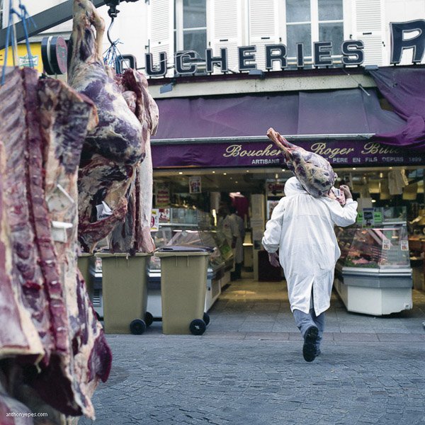 anthonyepesphotography_DPS-10.jpg Anthonyepesphotography DPS 10