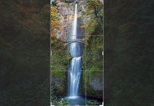 Vertical Crop in Photoshop