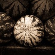 How to Split Tone Black and White Photos in Lightroom