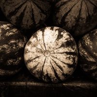 How to Split Tone Black and White Photos in Lightroom