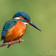 10 Common Photography Mistakes and How to Overcome Them
