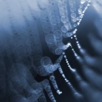 Weekly Photography Challenge – Wide Opened