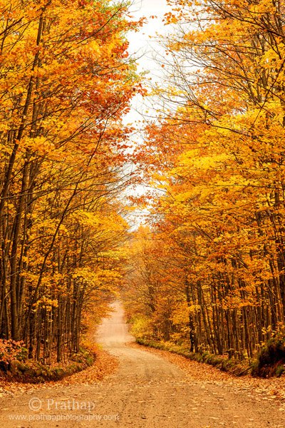 8-Beautiful-Fall-Foliage-on-the-way-to-Agate-Falls-in-Upper-Peninsula-Michigan-Autumn-Colors-Nature-Landscape-Wildlife-Bird-Photography-by-Prathap.jpg 8 Beautiful Fall Foliage on the way to Agate Falls in Upper Peninsula Michigan Autumn Colors Nature Landscape Wildlife Bird Photography by Prathap