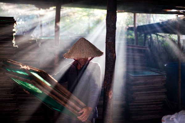 IMG_6605.jpg IMG 6605