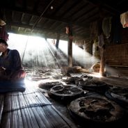 Shoot for the Light â€“ Improve Your Composition