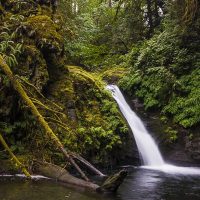 6 Eye-Catching Photos and How They Can Help You Improve Your Photography