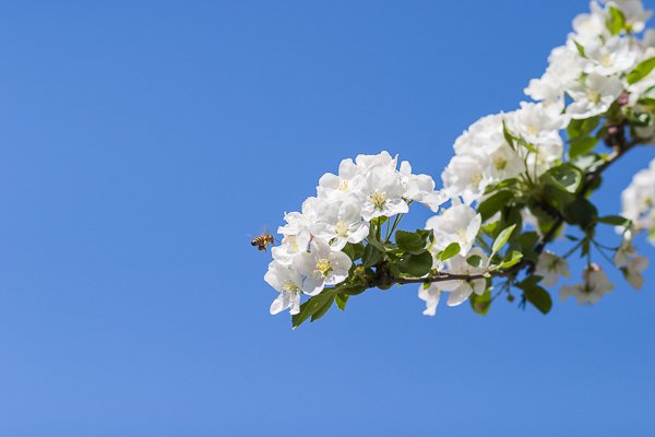 extremely-essential-camera-skills-2.jpg Extremely essential camera skills 2