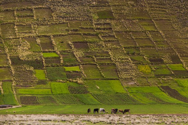 extremely-essential-camera-skills-4.jpg Extremely essential camera skills 4