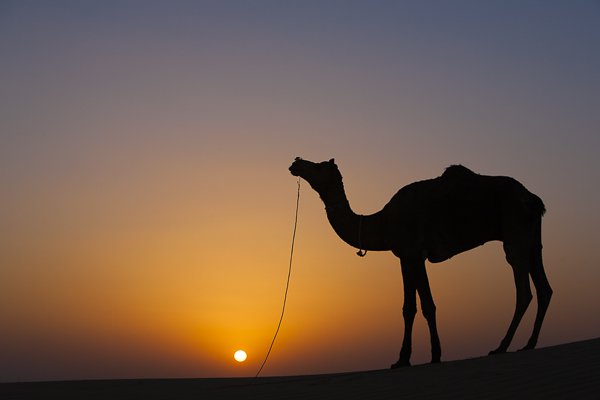 extremely-essential-camera-skills-6.jpg Extremely essential camera skills 6