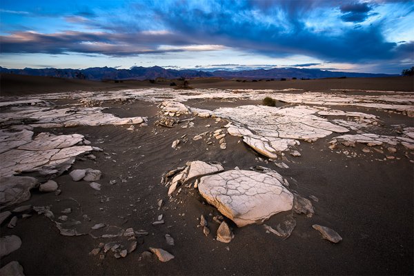 Mesquite Sand Dune Crust | Death Valley National Park