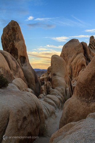 Joshua Tree National Park, California
