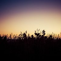 Tips for Creating Landscape Photos during the Golden Hour