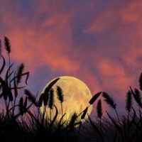 Weekly Photography Challenge – Shoot the Moon
