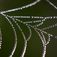 Weekly Photography Challenge â€“ Darkness and Light