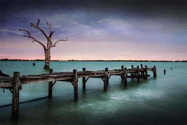 6-LeanneCole-lakecharm-back-pier-tree.jpg 6 LeanneCole lakecharm back pier tree