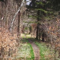 Safety Tips for Travel Photographers (Particularly Women)