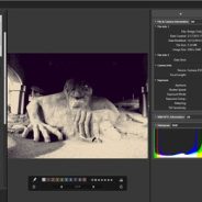 Nikon releases ViewNX-i image browsing software