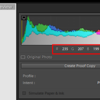 10 Quick Lightroom Tips and Shortcuts