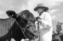 Moss Vale Show – Stella Lowden