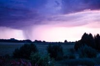 Storm brewing
