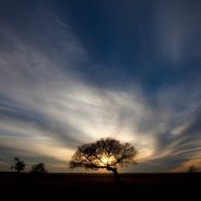 4 Reasons Shooting at Sunrise and Sunset Will Help You Take Better Photos