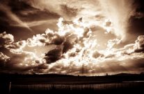 After the rain