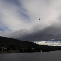 4 Mistakes New Photographers Make and How to Avoid Them