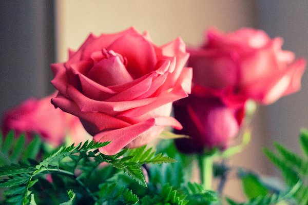 When shooting subjects up close, focusing manually will give you tighter control.