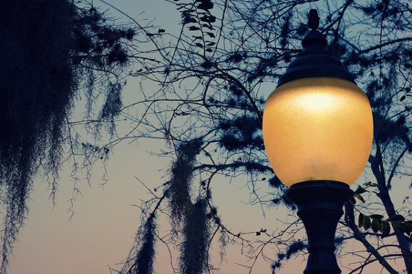 Subjects captured in low light are notorious for muddling up autofocus systems; manual focus is the best way to solve the problem.