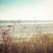Donâ€™t Be Afraid of Manual Focus