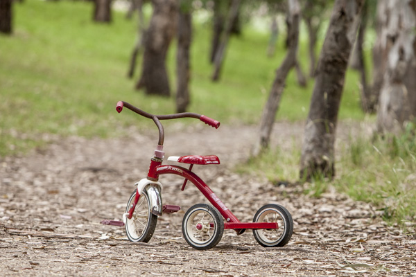 training wheels.jpg Training wheels