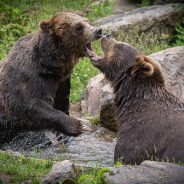 6 of the Most Essential but Underused Camera Features