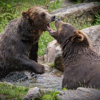 6 of the Most Essential but Underused Camera Features