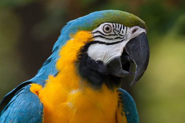 2_fill_flash.jpg 2 fill flash