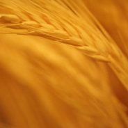 Weekly Photography Challenge â€“ Monochrome