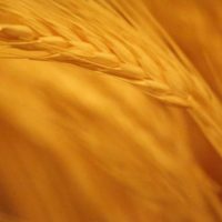 Weekly Photography Challenge – Monochrome